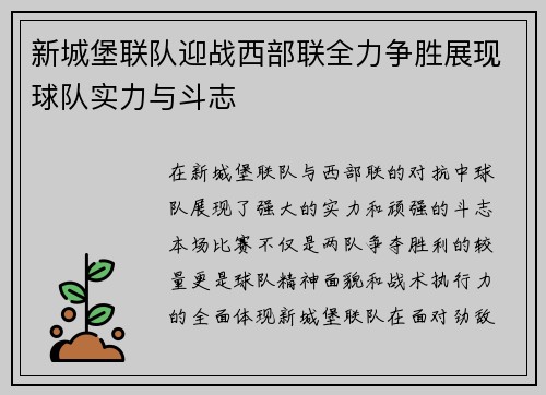 新城堡联队迎战西部联全力争胜展现球队实力与斗志